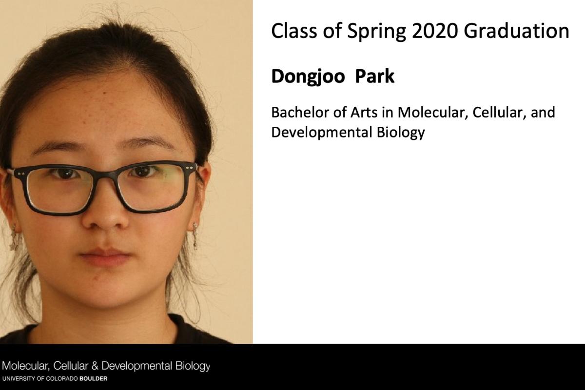 Dongjoo Park
