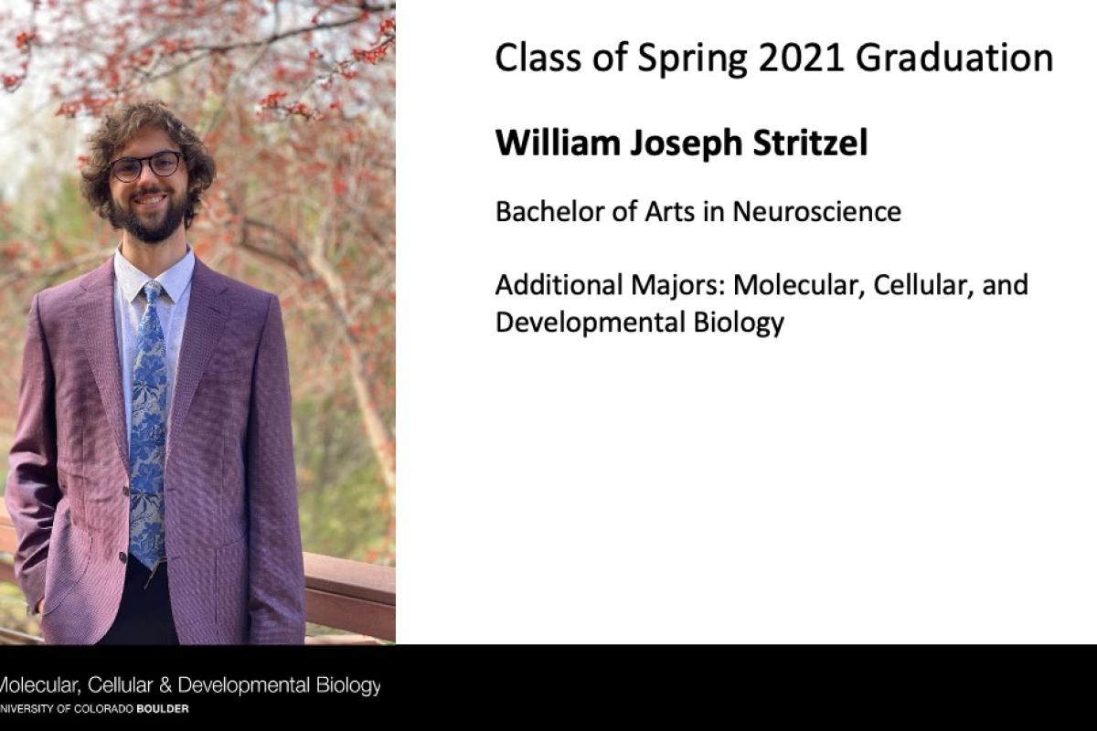 William Joseph Stritzel