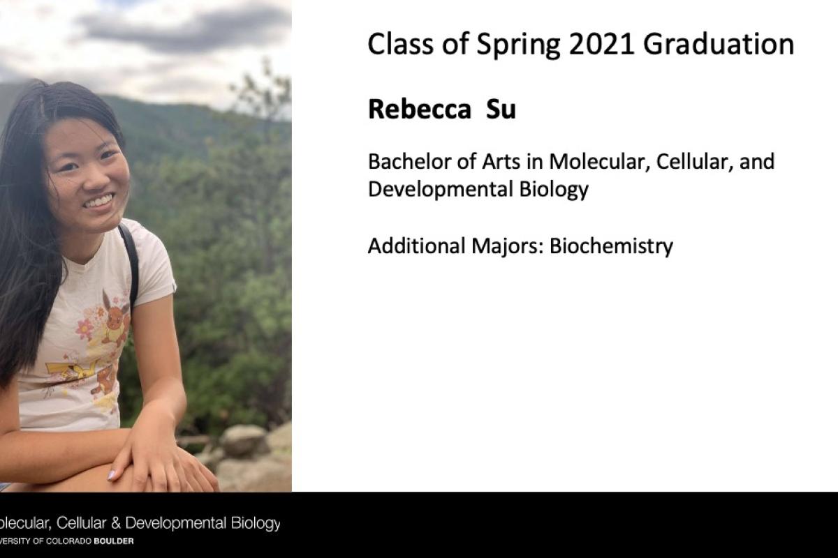Rebecca Su