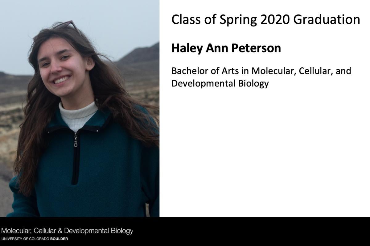 Haley Ann Peterson