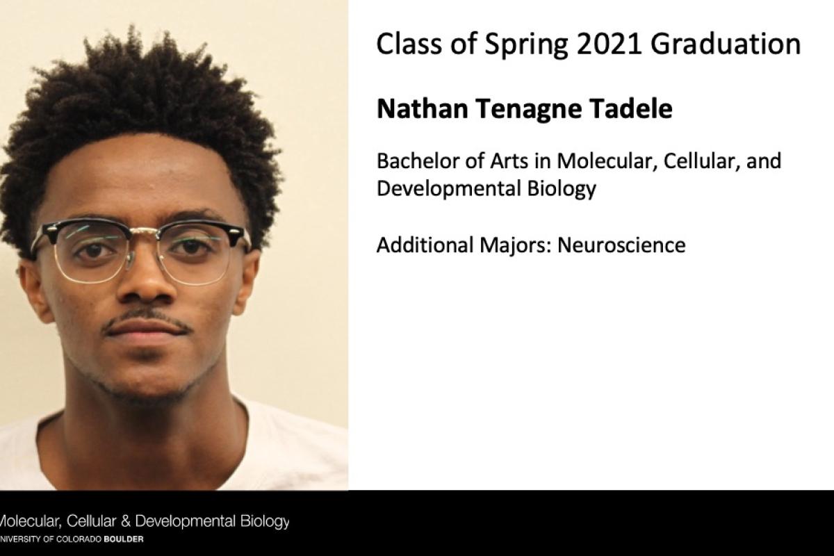 Nathan Tenagne Tadele