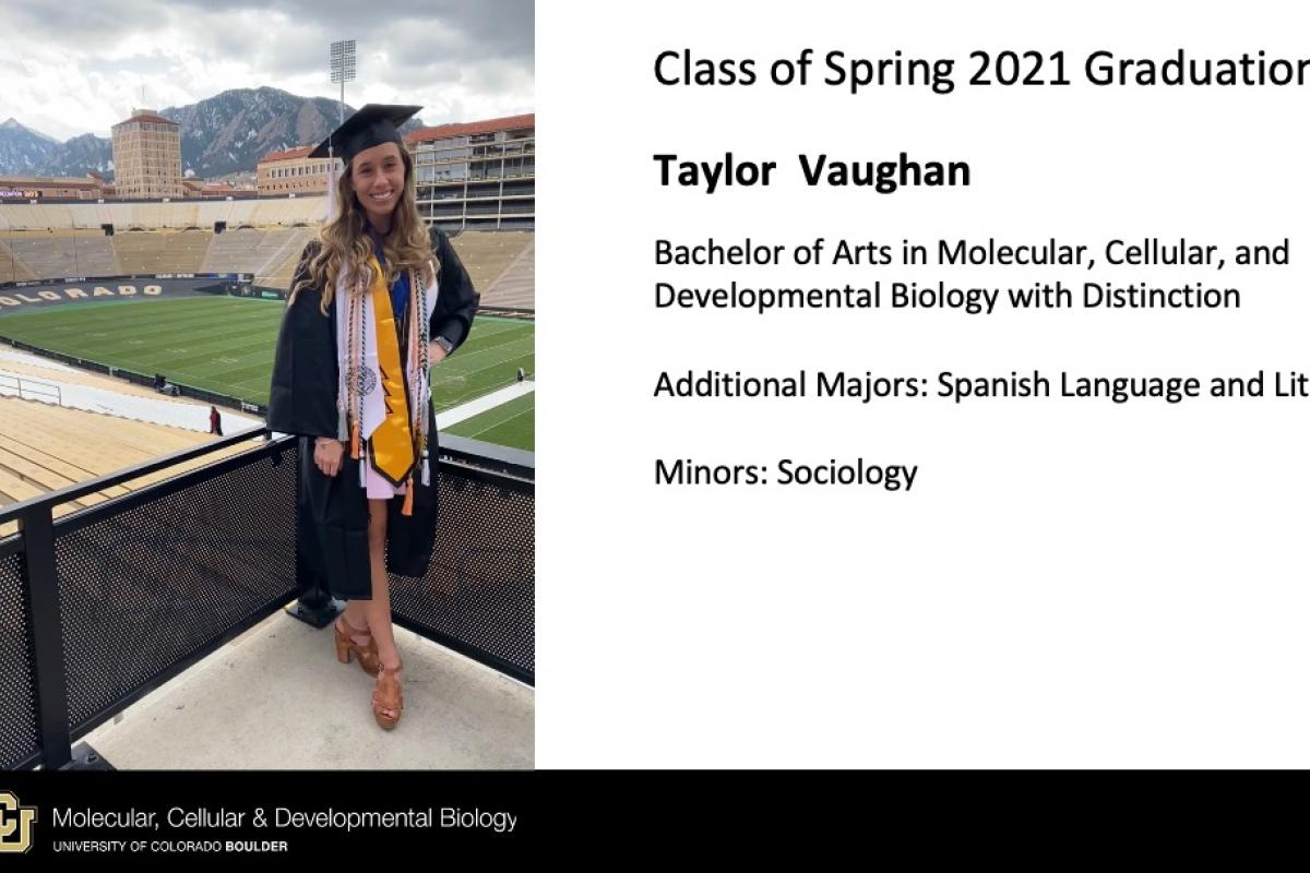 Taylor Vaughan