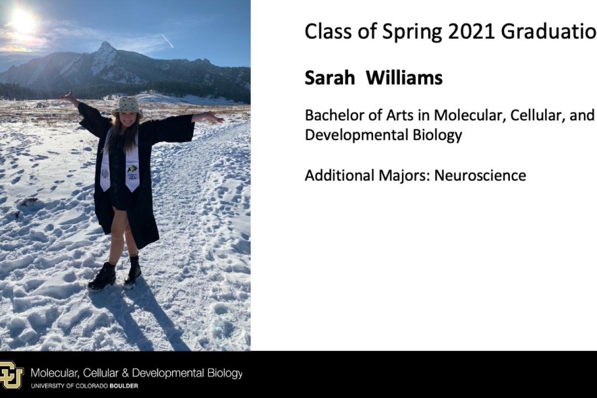 Sarah Williams