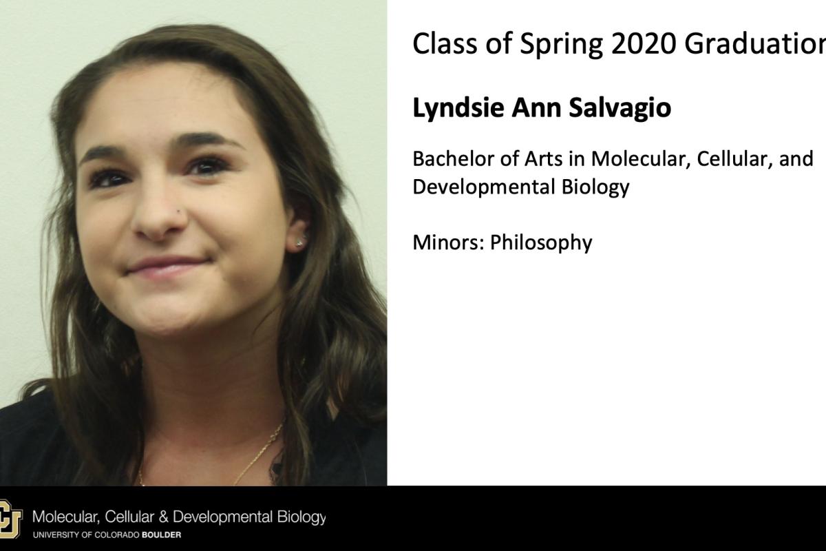 Lyndsie Ann Salvagio