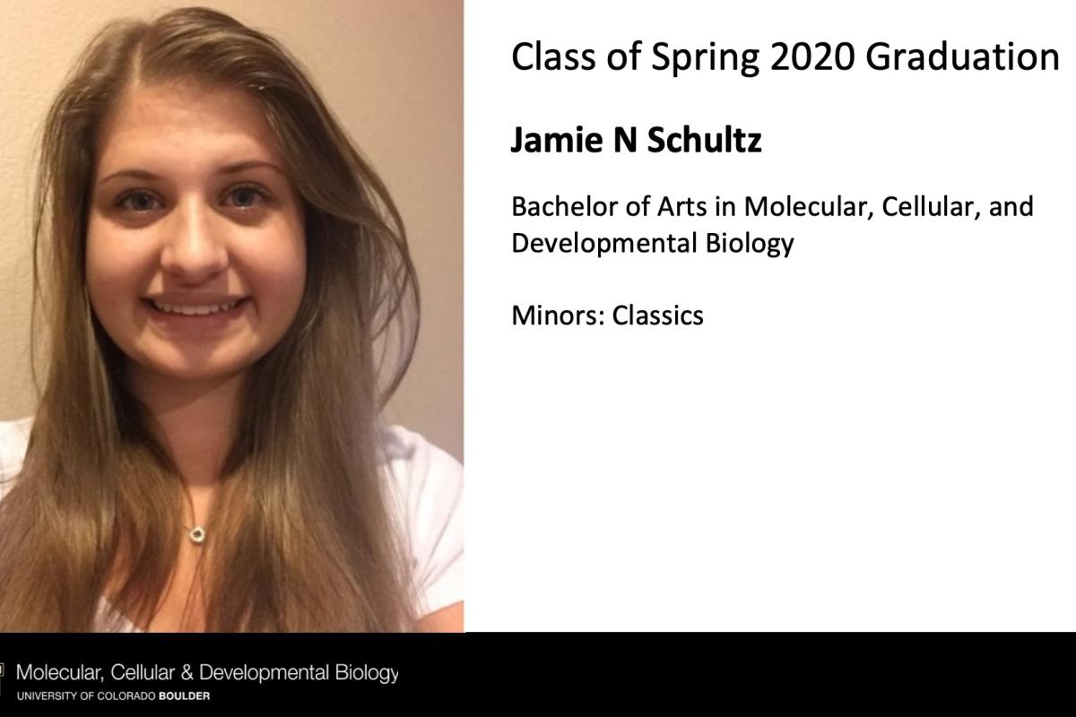 Jamie N Schultz