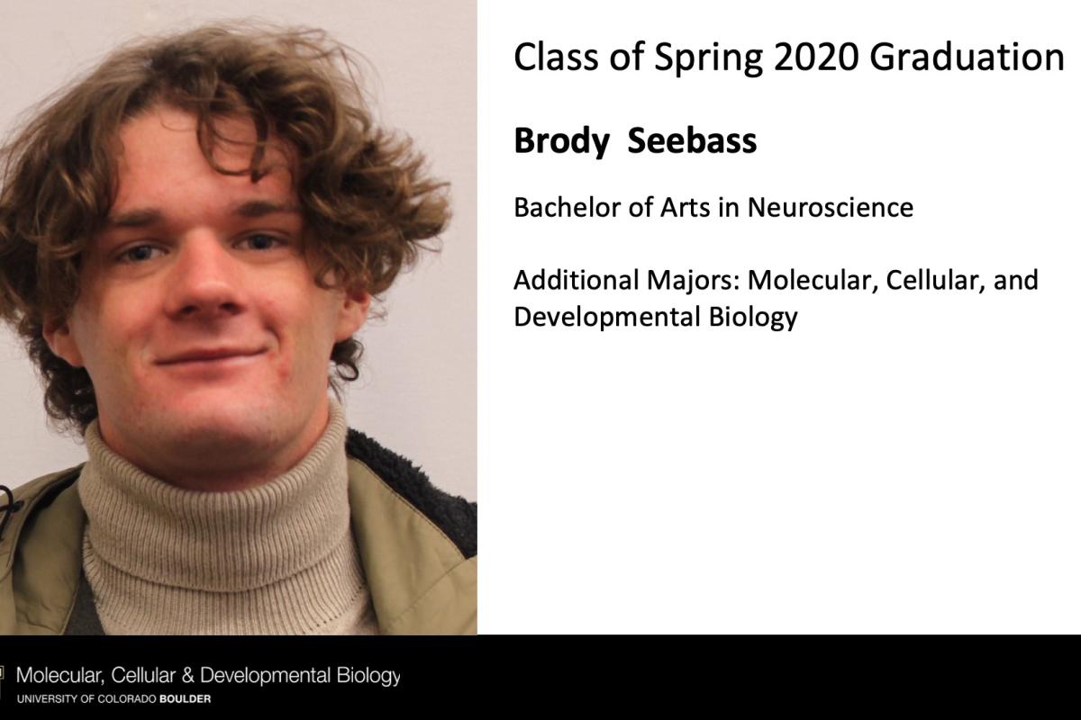 Brody Seebass