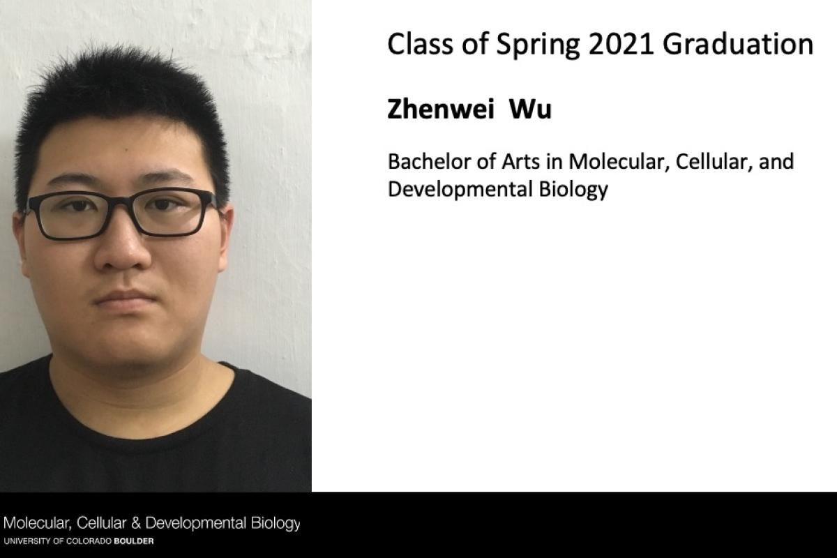 Zhenwei Wu