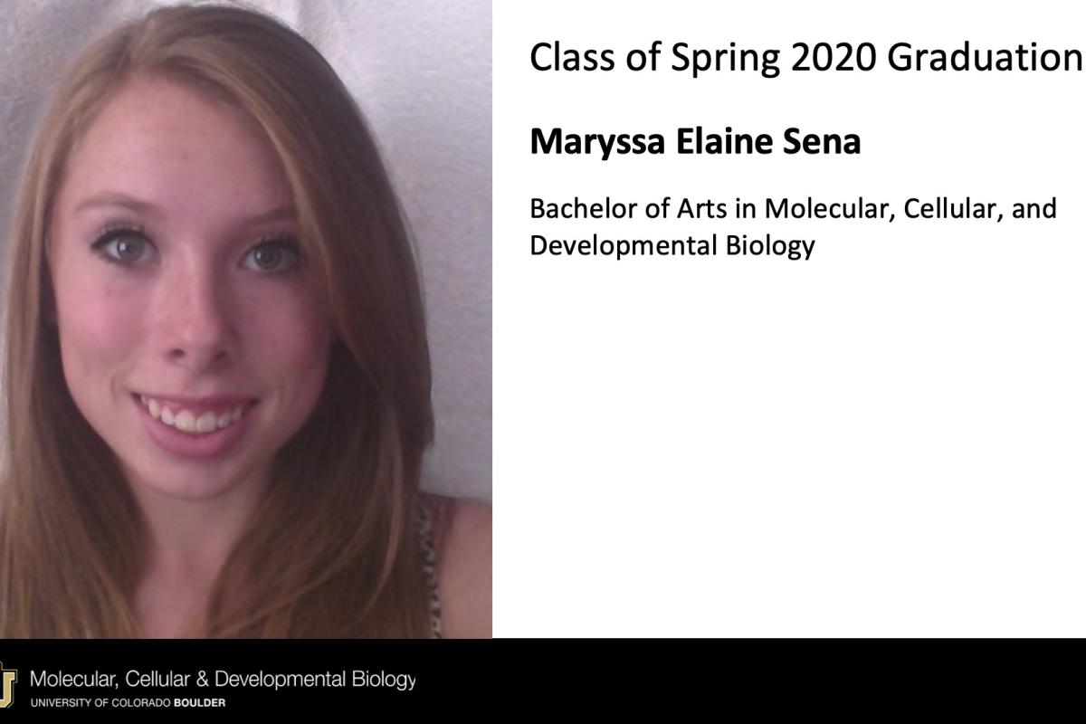 Maryssa Elaine Sena