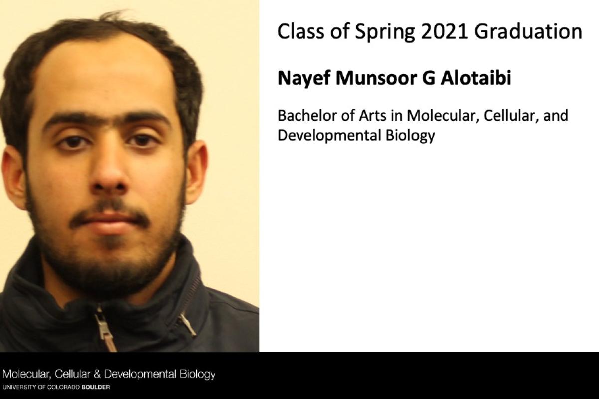 Nayef Munsoor G Alotaibi