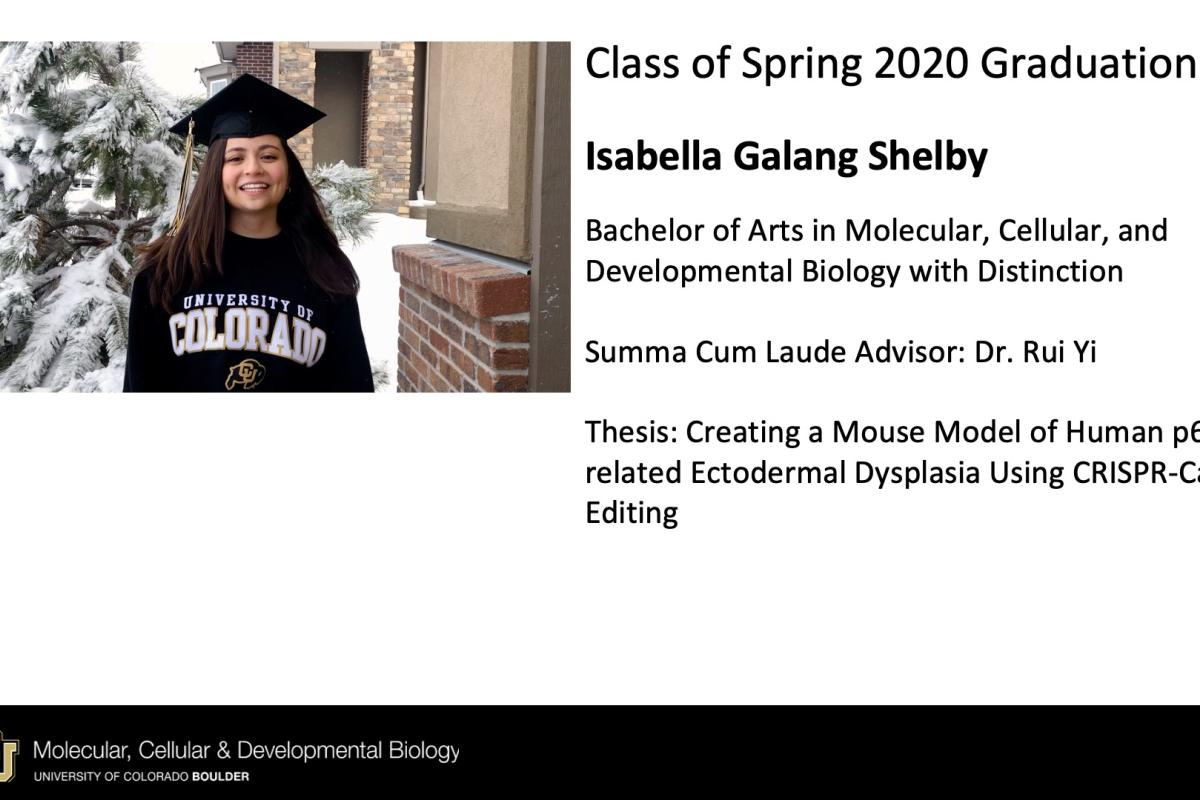 Isabella Galang Shelby