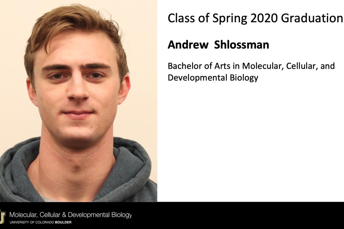 Andrew Shlossman
