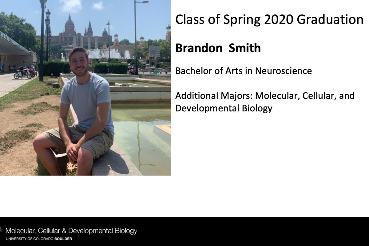 Brandon Smith