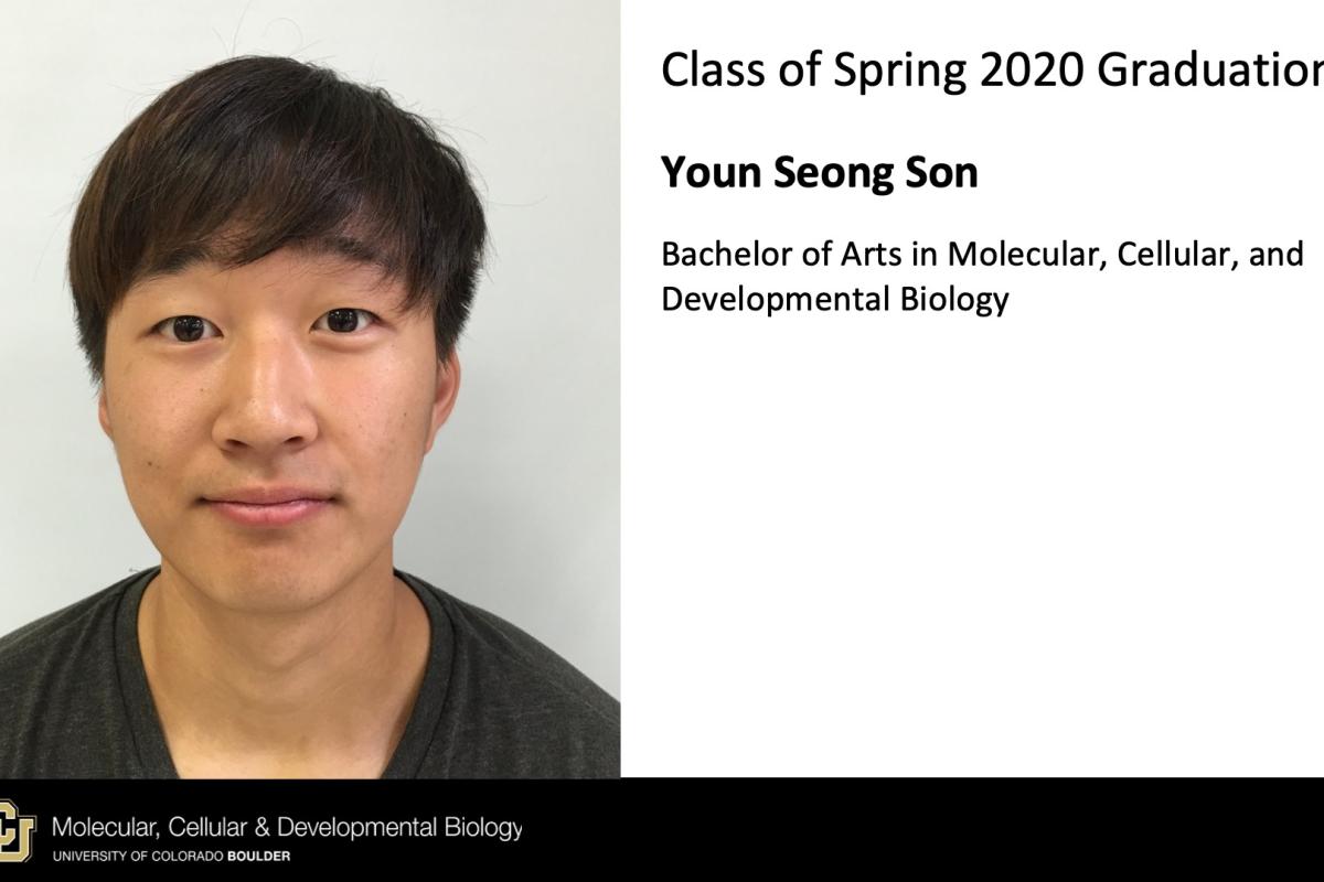 Youn Seong Son