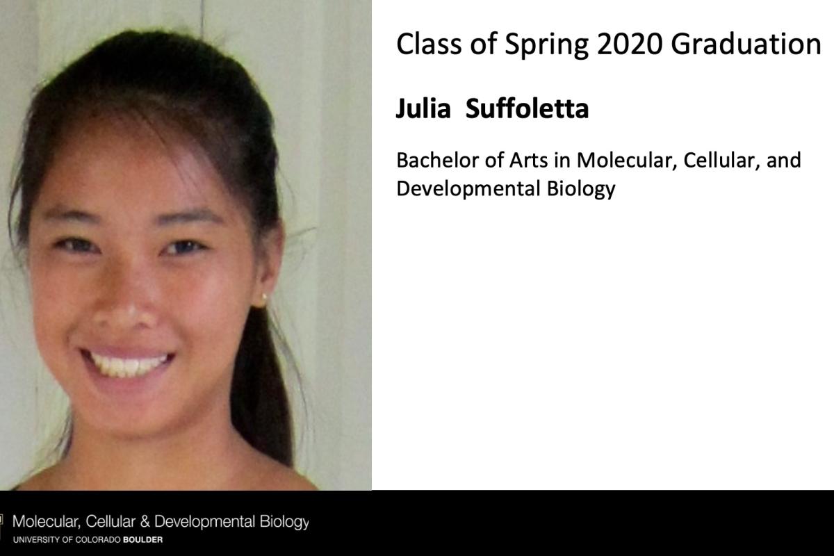 Julia Suffoletta