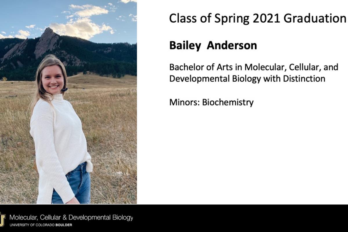 Bailey Anderson