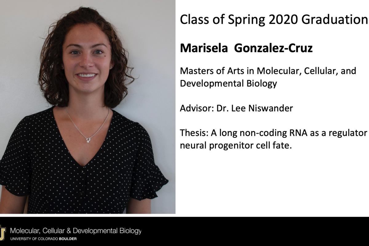 Marisela Gonzalez-Cruz