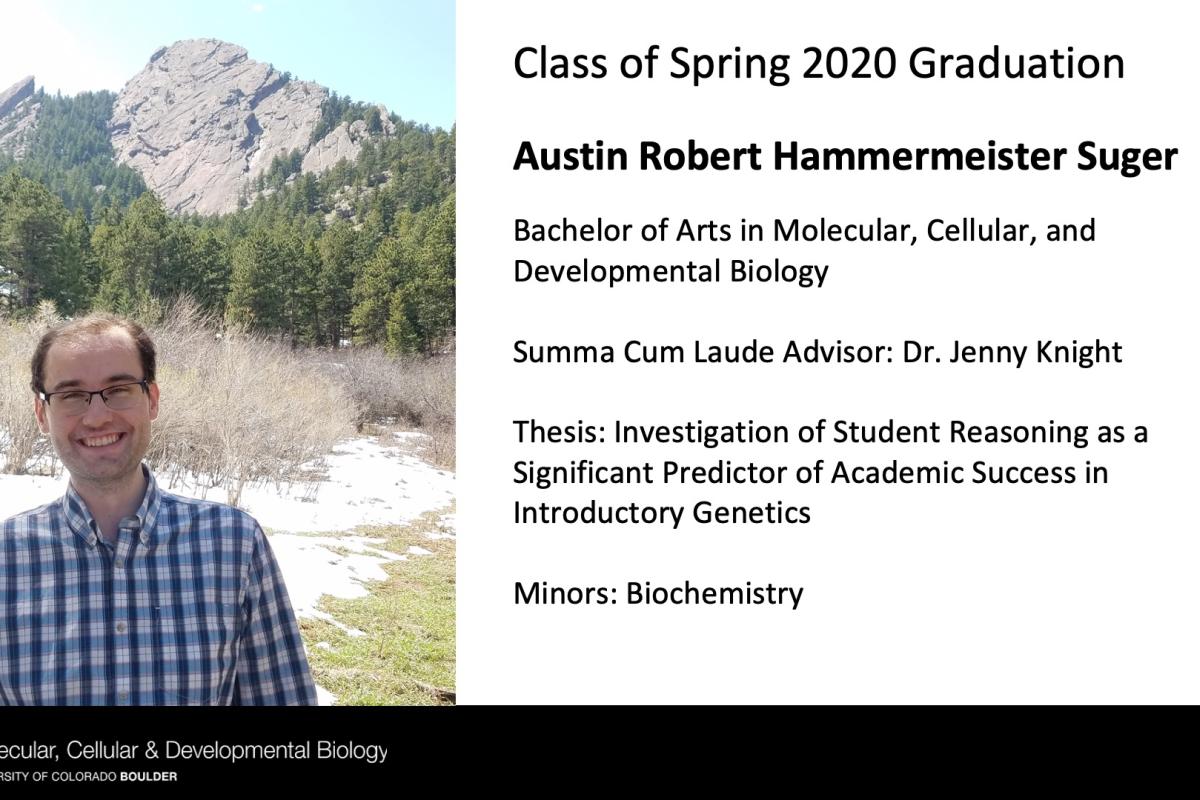 Austin Robert Hammermeister Suger