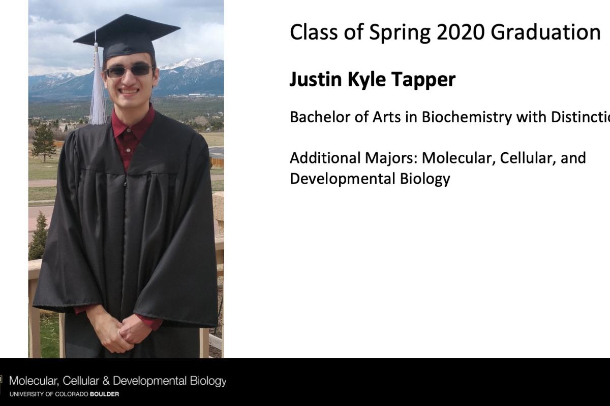 Justin Kyle Tapper