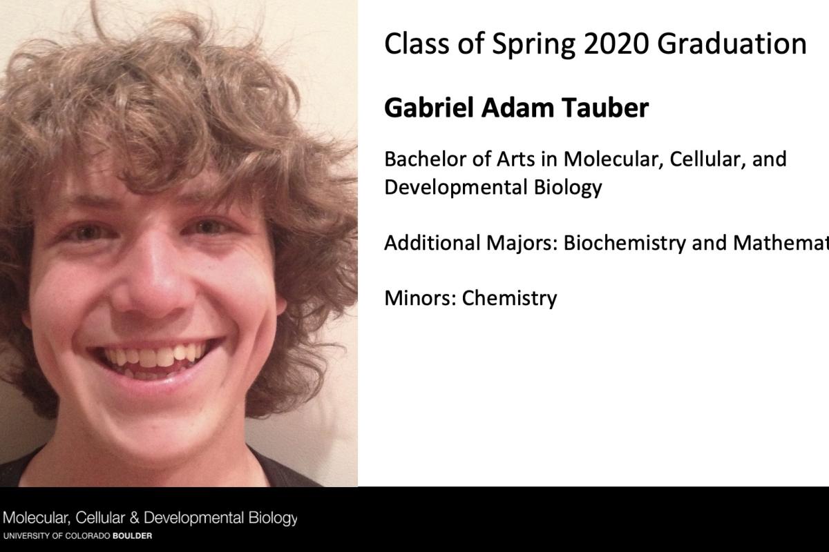 Gabriel Adam Tauber
