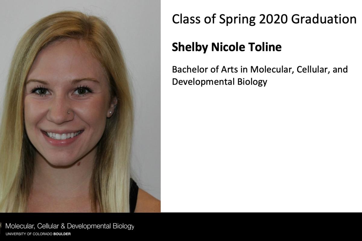 Shelby Nicole Toline