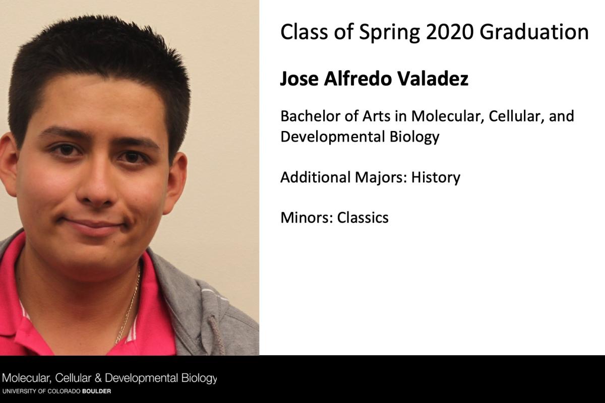 Jose Alfredo Valadez