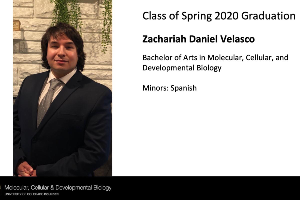 Zachariah Daniel Velasco