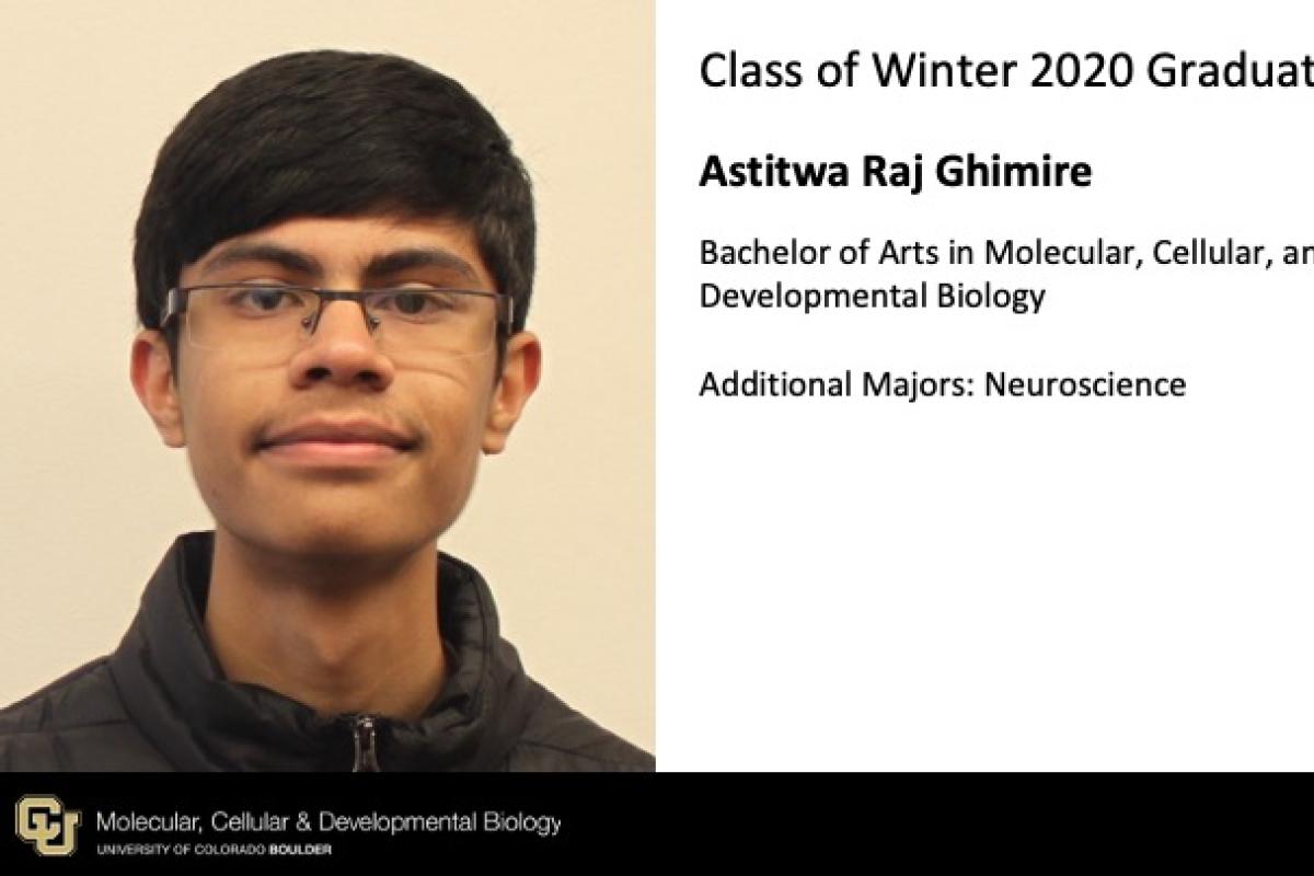 Astitwa Raj Ghimire
