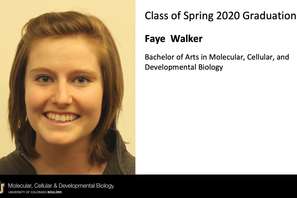 Faye Walker