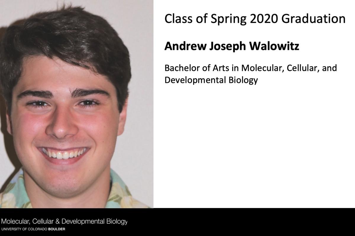 Andrew Joseph Walowitz