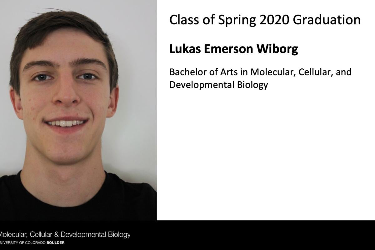 Lukas Emerson Wiborg