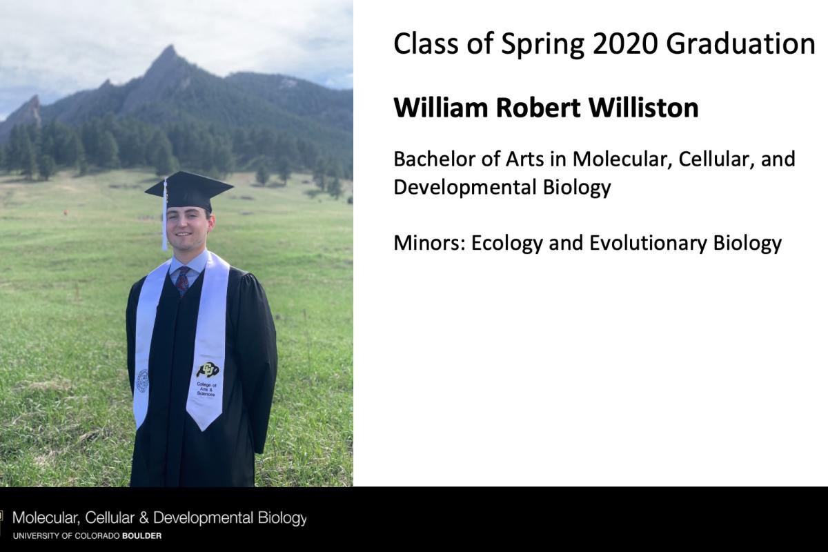 William Robert Williston