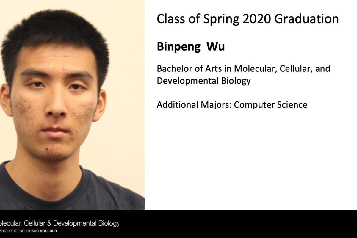 Binpeng Wu