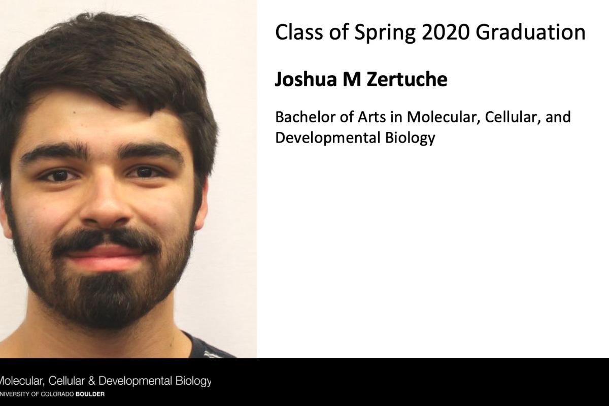 Joshua M Zertuche