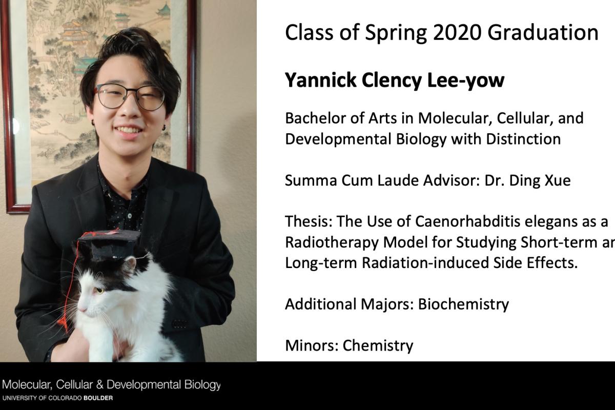 Yannick Clency Lee-yow