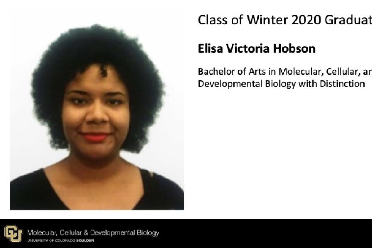 Elisa Victoria Hobson
