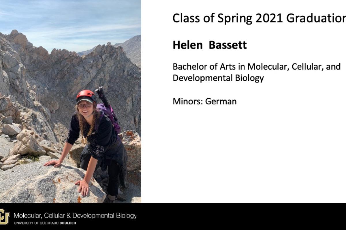 Helen Bassett