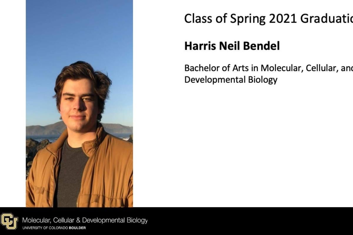 Harris Neil Bendel