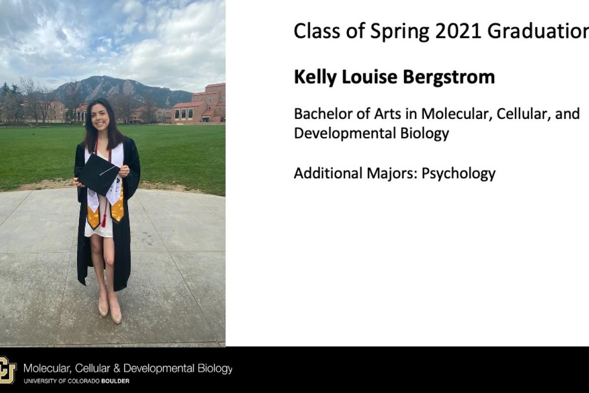 Kelly Louise Bergstrom