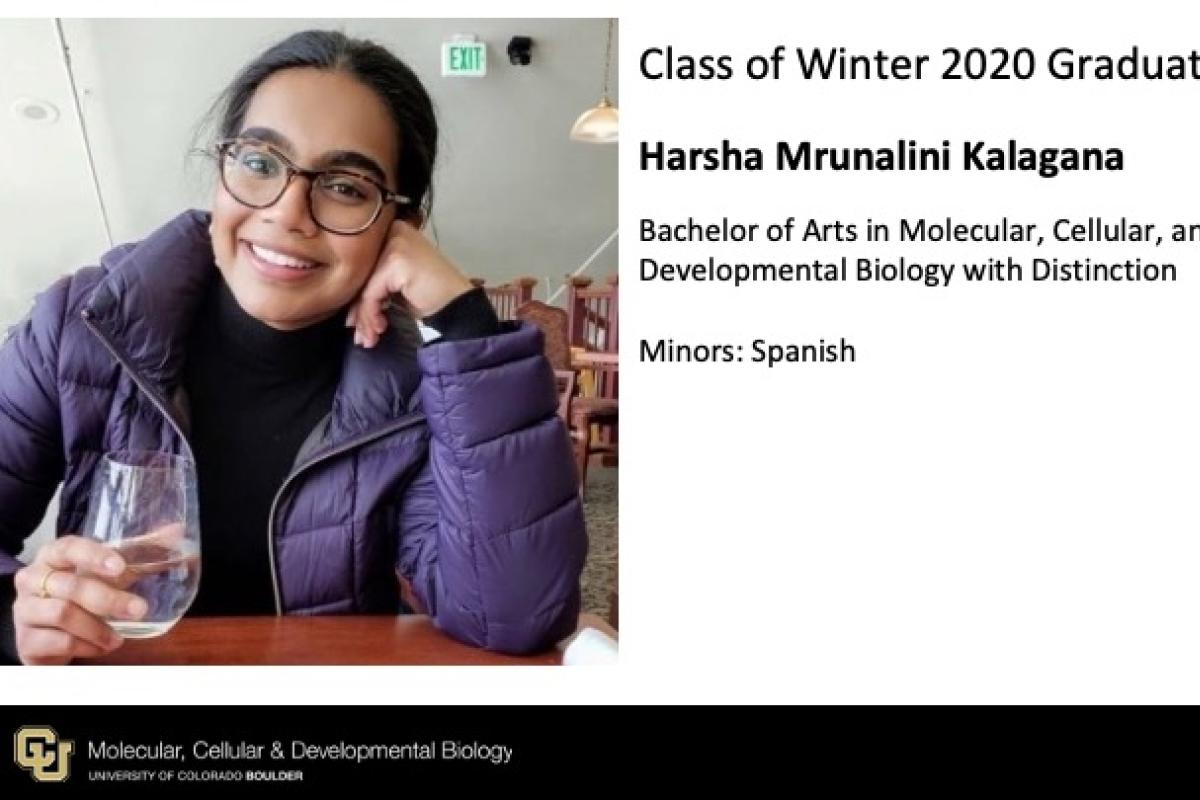 Harsha Mrunalini Kalagana