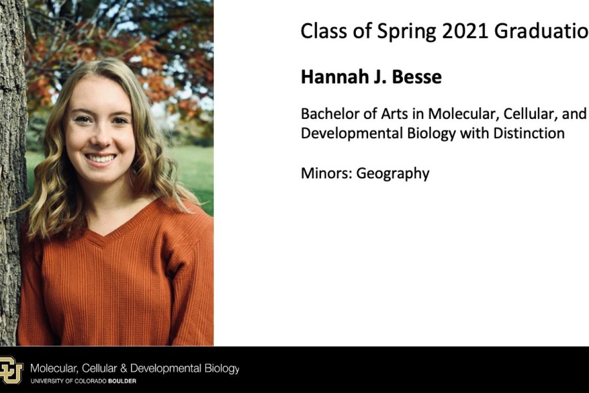 Hannah J. Besse
