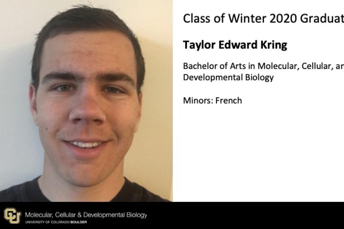 Taylor Edward Kring