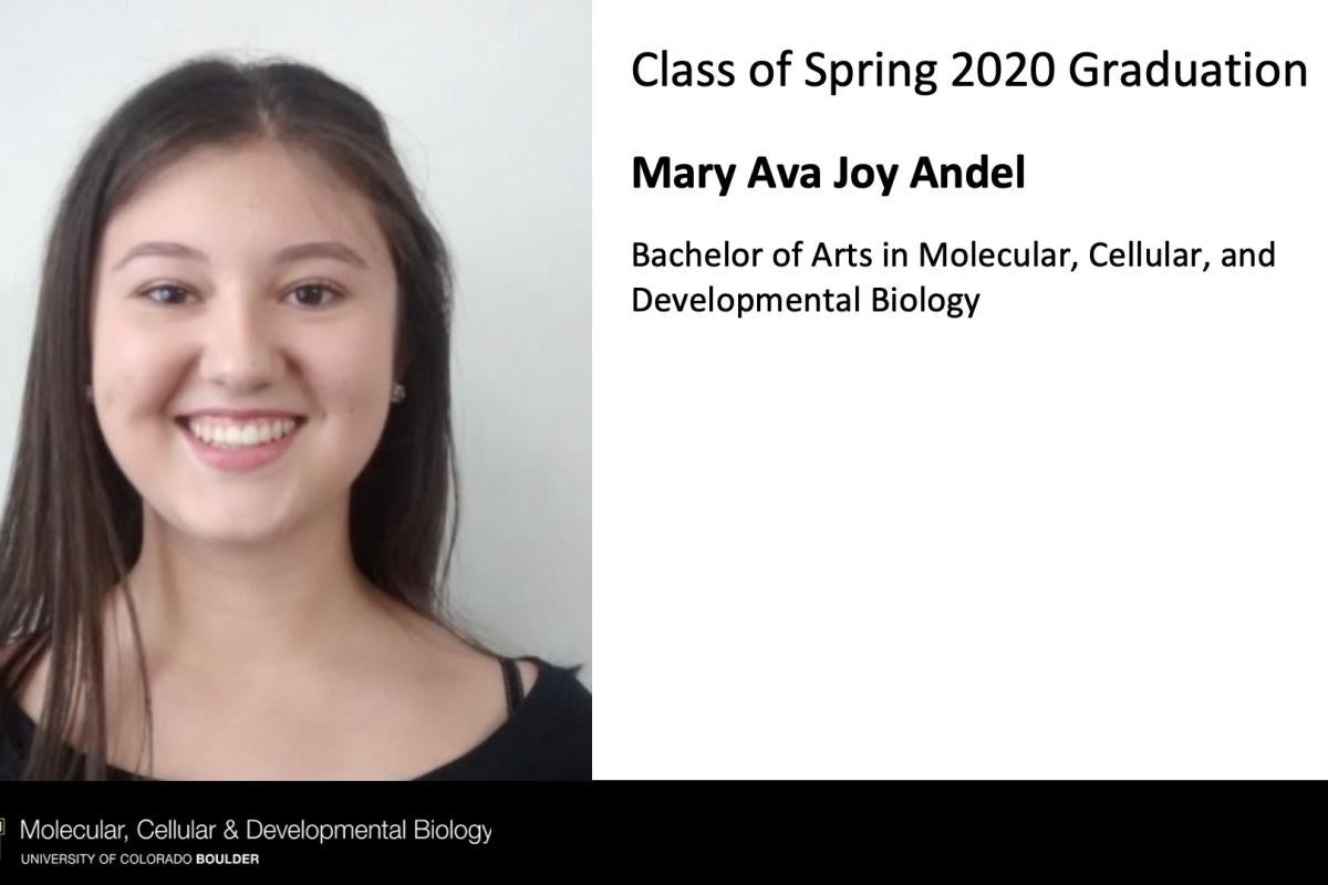 Mary Ava Joy Andel