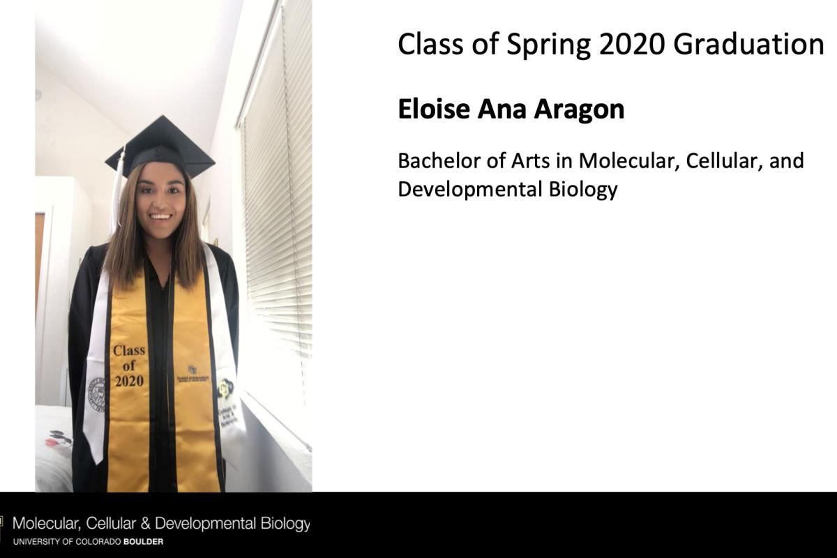 Eloise Ana Aragon