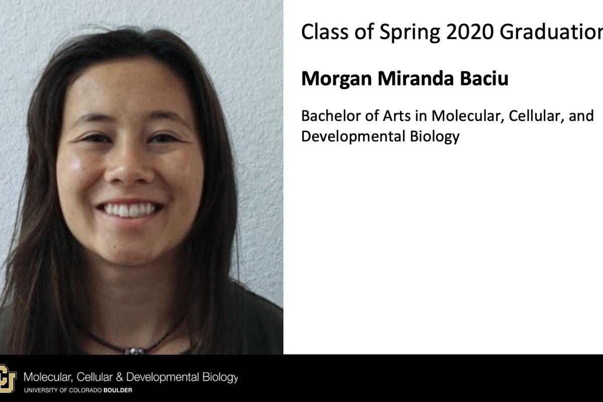 Morgan Miranda Baciu