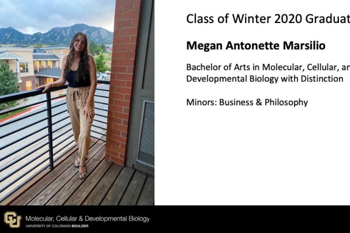 Megan Antonette Marsilio