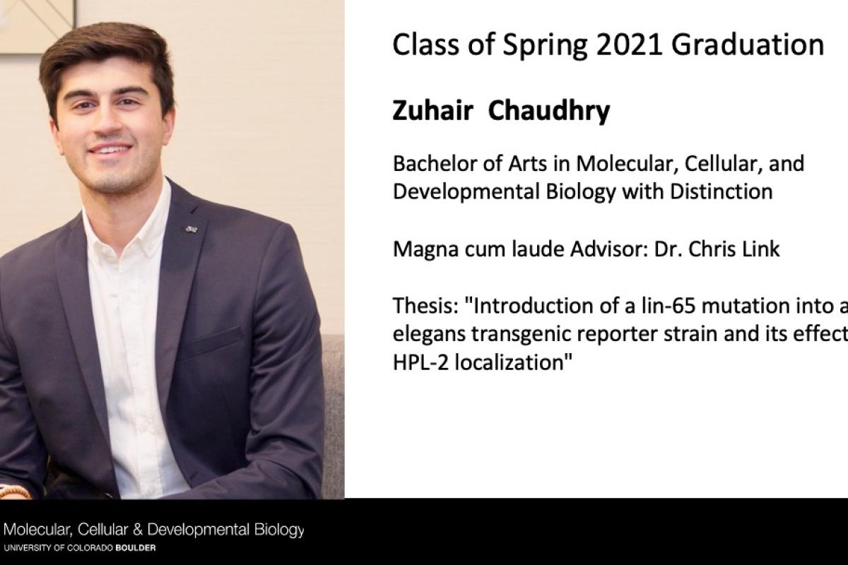 Zuhair Chaudhry