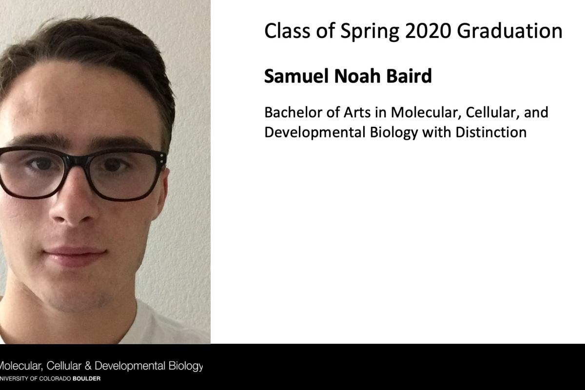 Samuel Noah Baird