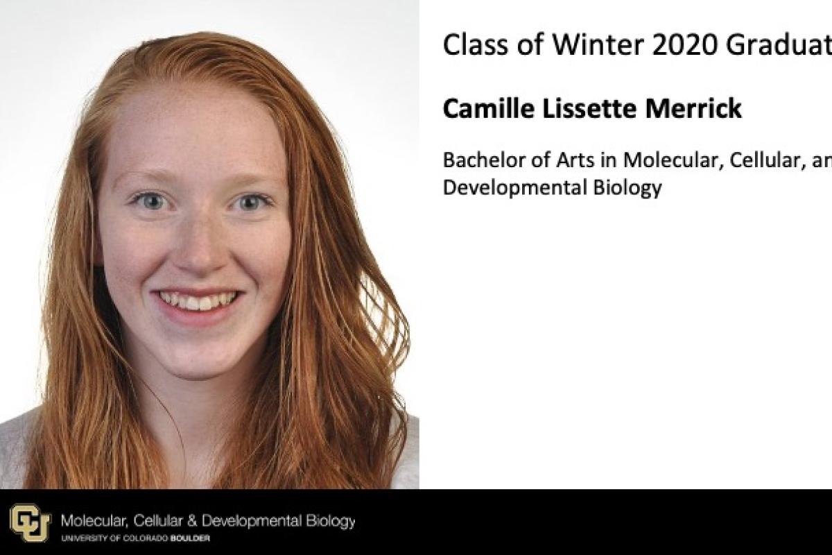 Camille Lissette Merrick