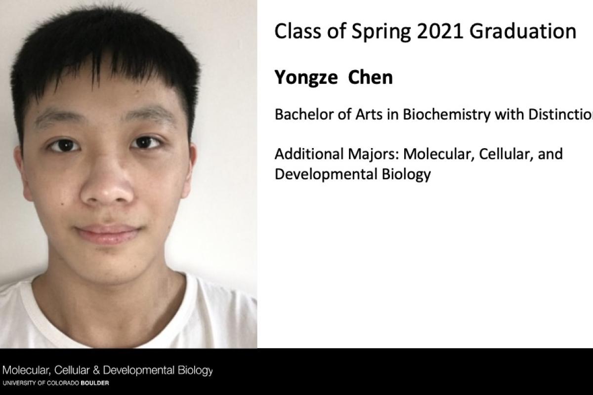Yongze Chen