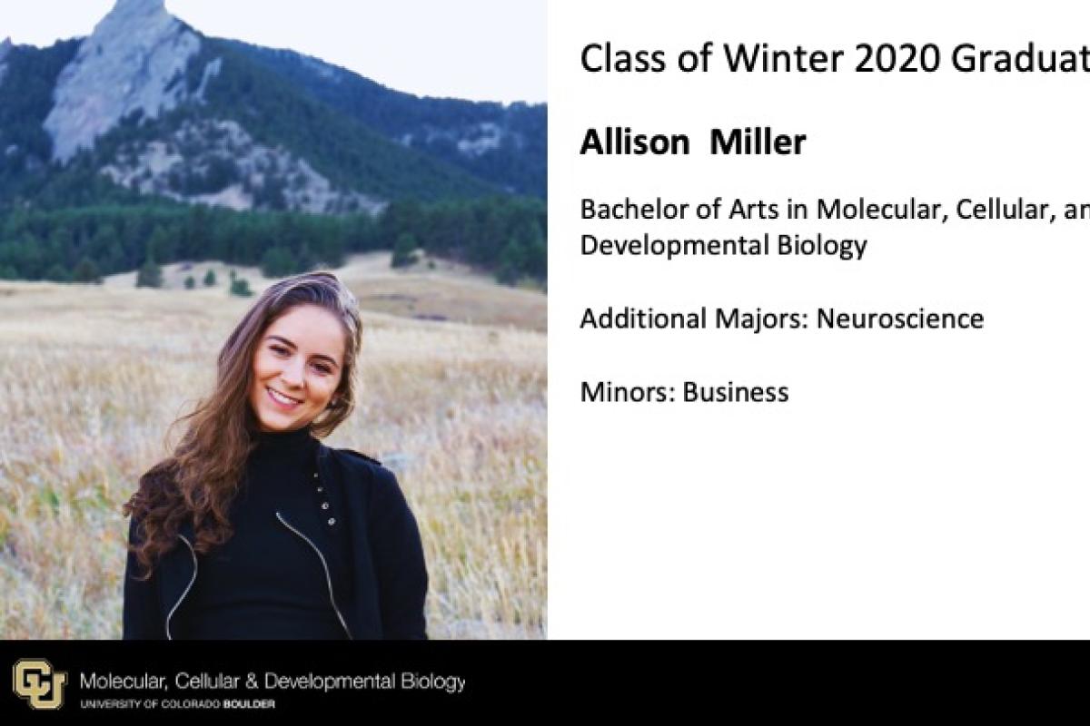 Allison Miller